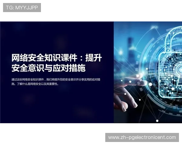 ng体育PG电子平台安全性分析保障玩家资金与个人信息安全的实用建议
